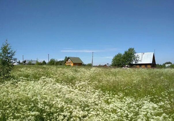 Деревня Павлово Череповецкий район. Деревня большой Юг. Деревня Гоша Череповецкий район. Курилово Череповецкий район деревня. Участки череповецкий район