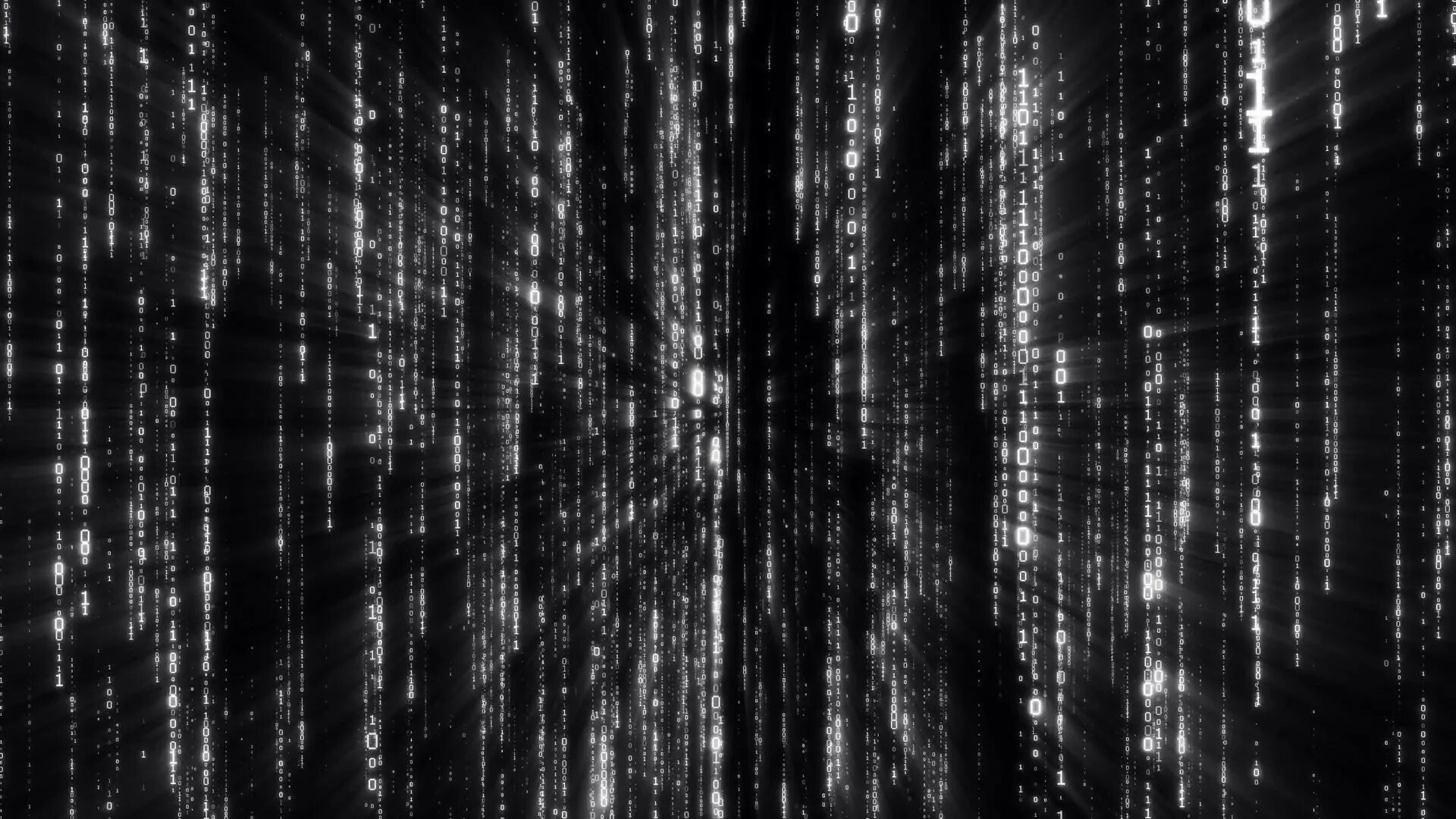 Чёрно белая матрица. Матрица чб. Матрица черно белая. Matrix white. Матрица код на прозрачном фоне.