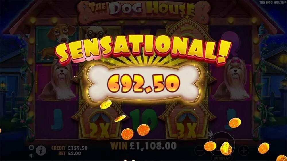 The Dog House игровой автомат. Дог Хаус казино. Dog House слот. Слот собаки казино. Doghouse slot