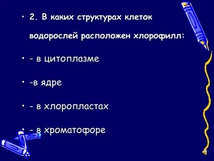 В каких структурах водорослей расположен хлорофилл