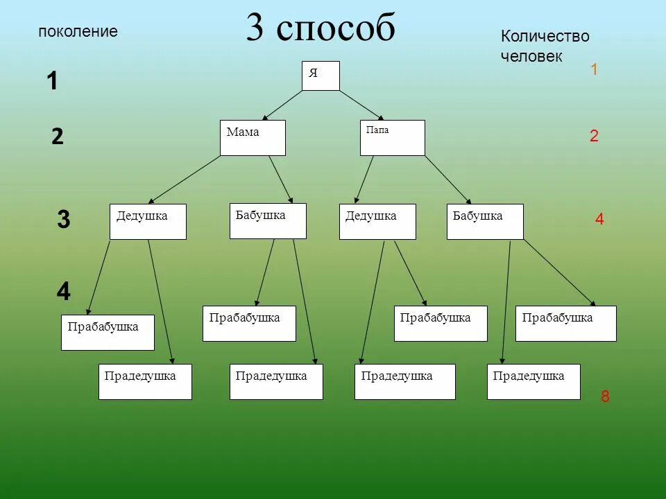 Построил родню