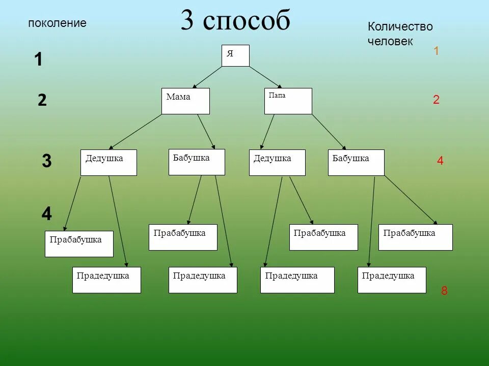 По количеству поколений. Родословное дерево. Схема родословной. Схема составления родословного дерева. Генеалогическое дерево по информатике.