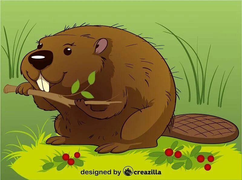 бобер клипарт. бобер мультяшный. иллюстрации бобров. бобер мультяшный. бобр для детей.