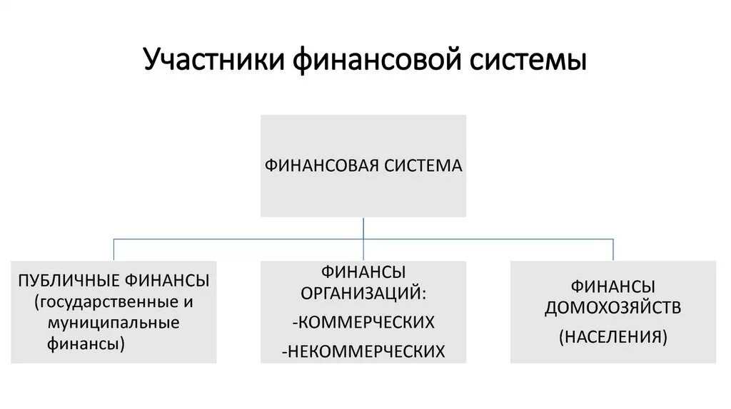 Участники финансовой системы. Участники финансовой системы РФ. Подсистемы финансовой системы. Финансовая система примеры.