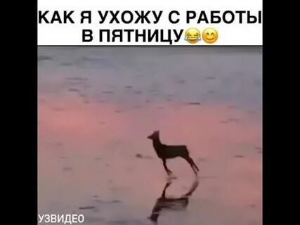 Видео пятницу с работы