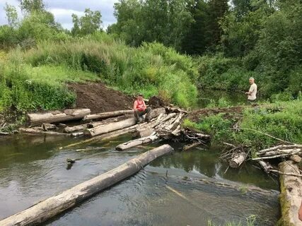 Погода село сухое омская область