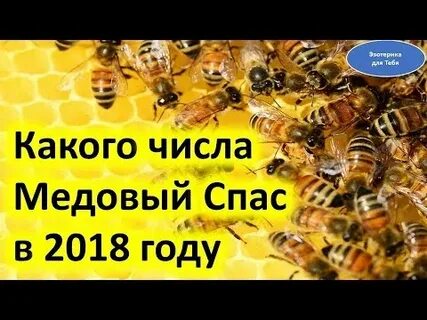 Спас 2018 году