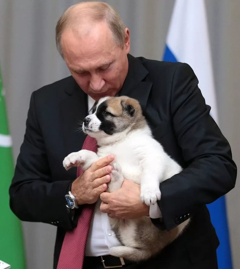 Какого щенка подарили