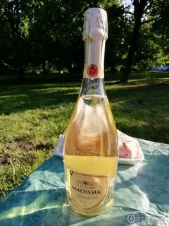 Malvasia