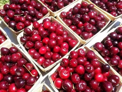 Fresh picked