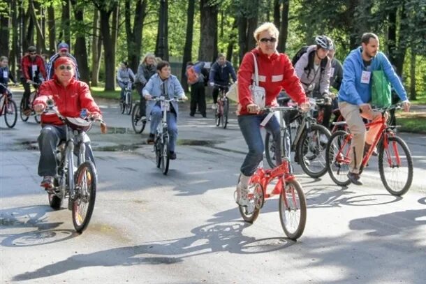 Магазин велосипедов. Велосипед москва. Много велосипедов картинки. Велосипед свао. Любительский велосипед.