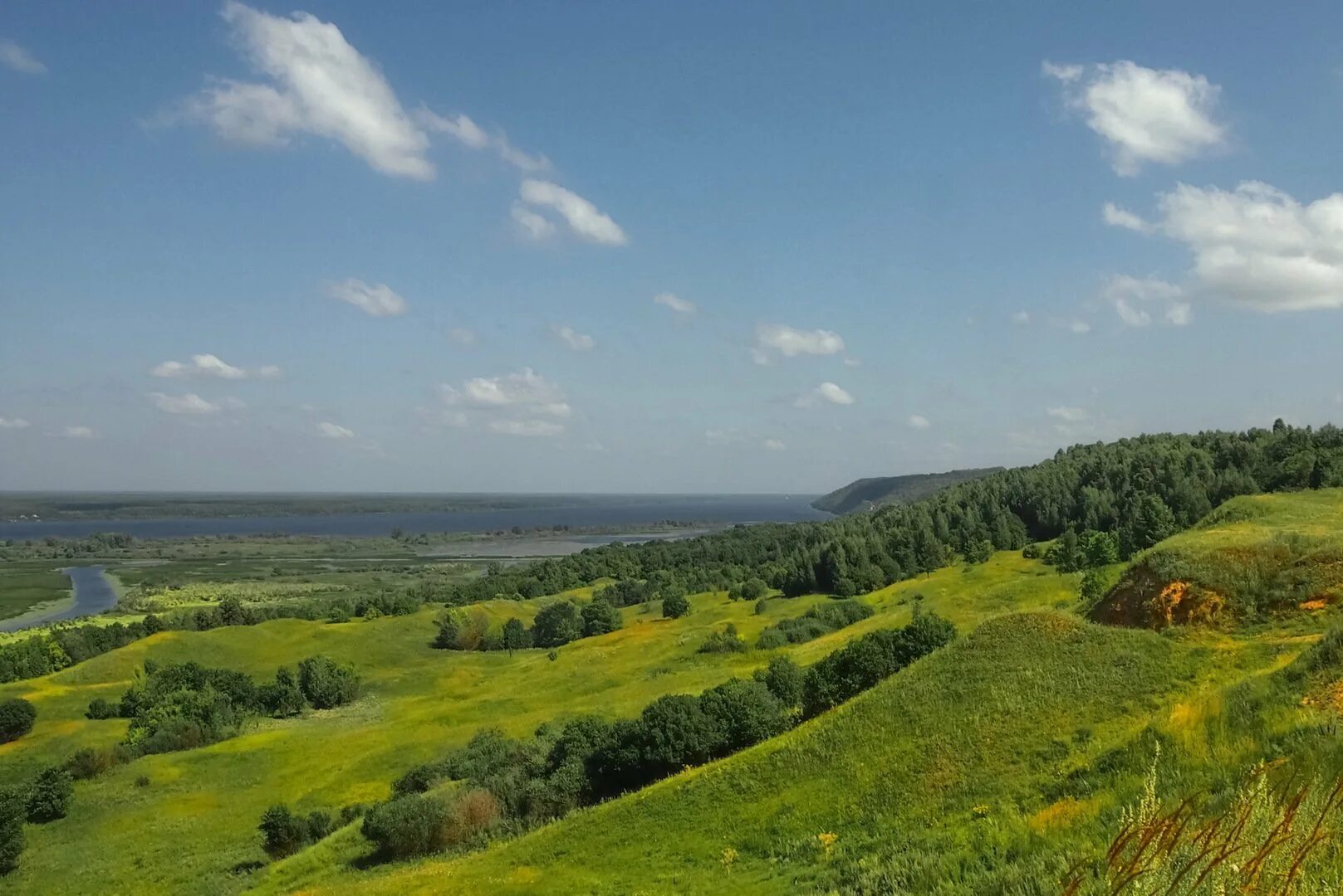 Поволжская возвышенность. Лысая гора Лысково. Перемиловские горы Нижегородская область. Лысая гора Ульяновская область. Приволжская возвышенность.