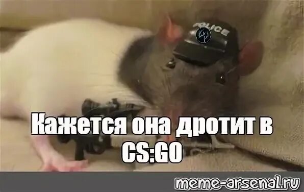 Hamster combat не заходит