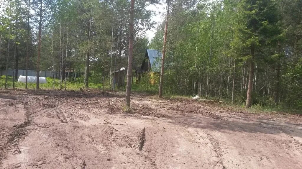 Снт бор 1 домодедовский район. Участок снт сосновый. Снт сосновый шелеховский район. Участок снт сосновый. , сергиево-посадский г.