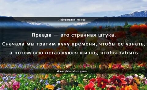 Мудрая правда