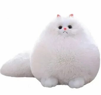 Озон котики