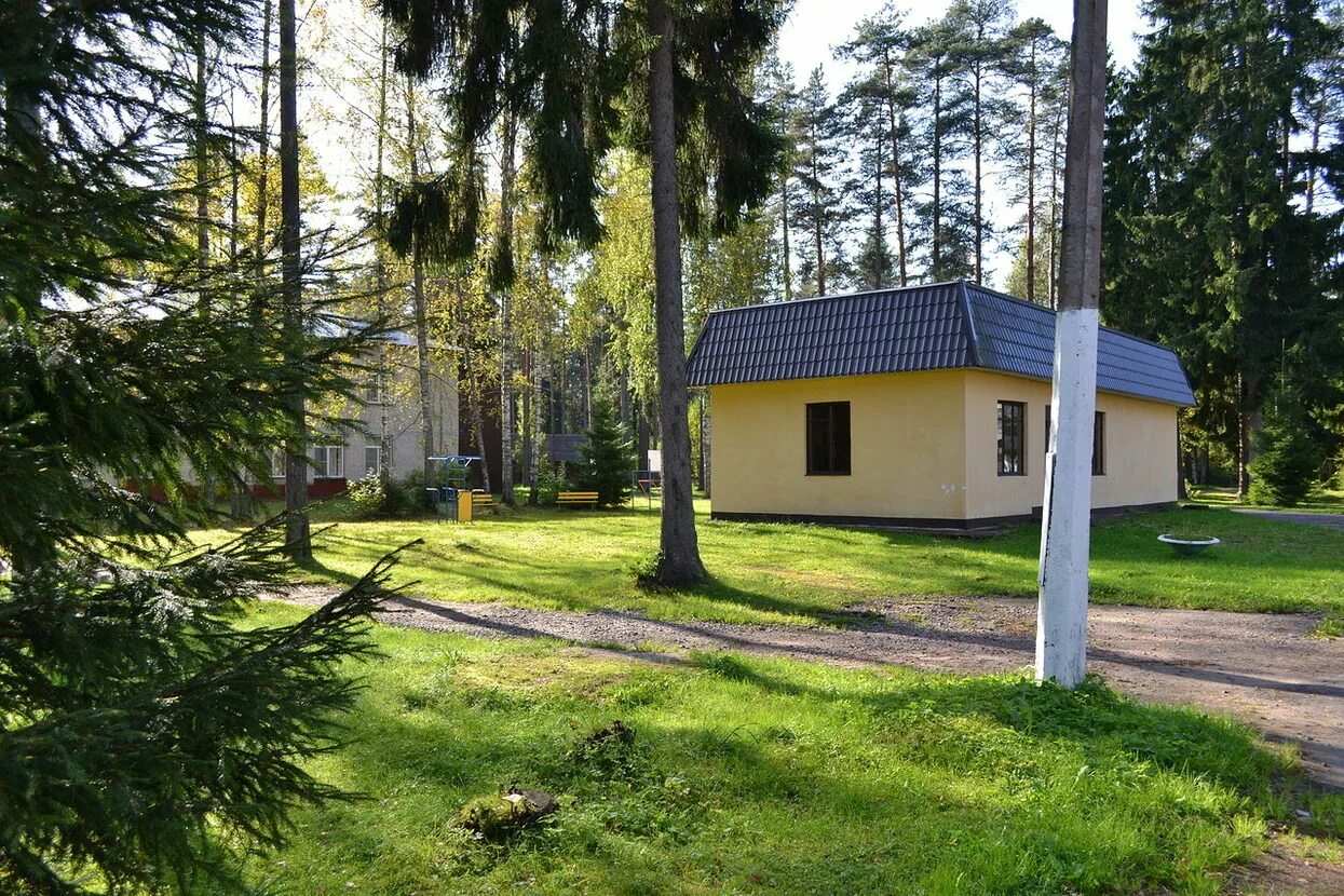 Дсол ленинградец рощино. Лагерь ленинградец в рощино. Дсол ленинградец лагерь. Ленинградец городской поселок рощино. Ленинградец городской поселок рощино.