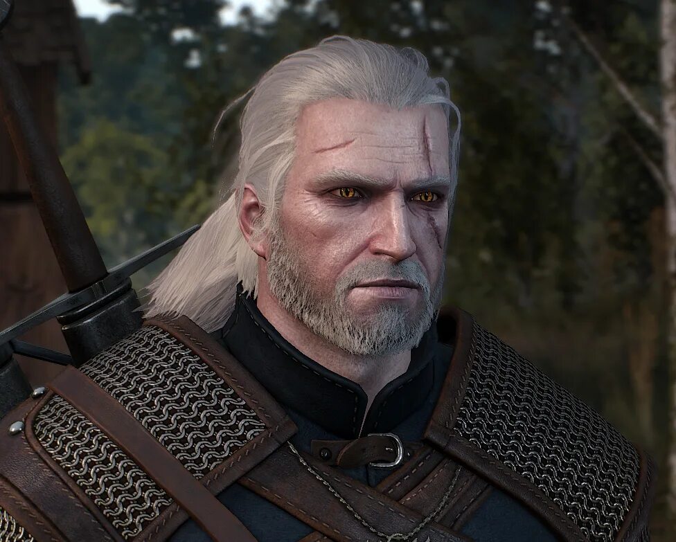 Ведьмак 3 мод witcher. Геральт ведьмак 3 лицо. геральд вилфурт. глаза геральта ведьмак 3. лицо геральта ведьмак 3.