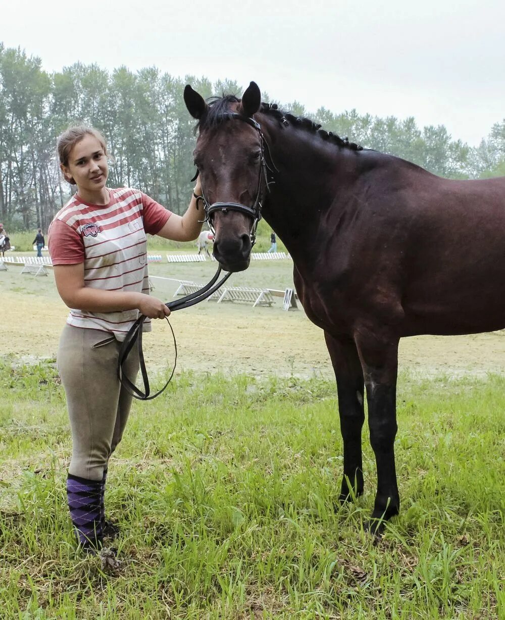 Заводчики лошадей. Col horse. Английская чистокровная лошадь фото. Заводчик коней. Тракененская порода.