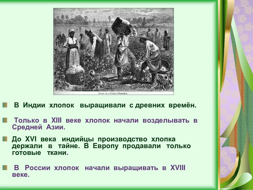 Хлопок значение. Хлопок в древности. Что выращивают в Индии. Производство хлопка в древней инди. Хлопок Страна происхождения.