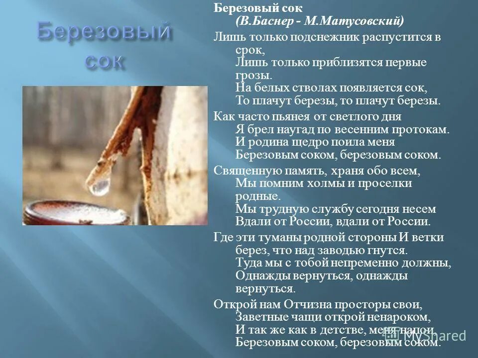 плакала береза слова