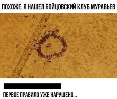 Первое правило бойцовского клуба