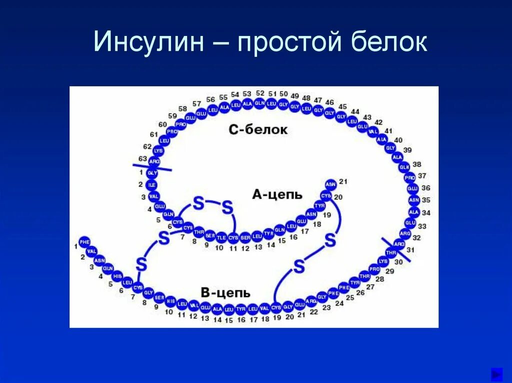 Образование дисульфидных связей в белке. Проинсулин. Дисульфидные связи в молекуле инсулина. Сколько дисульфидных связей в молекуле инсулина. Дисульфидные мостики в волосах.