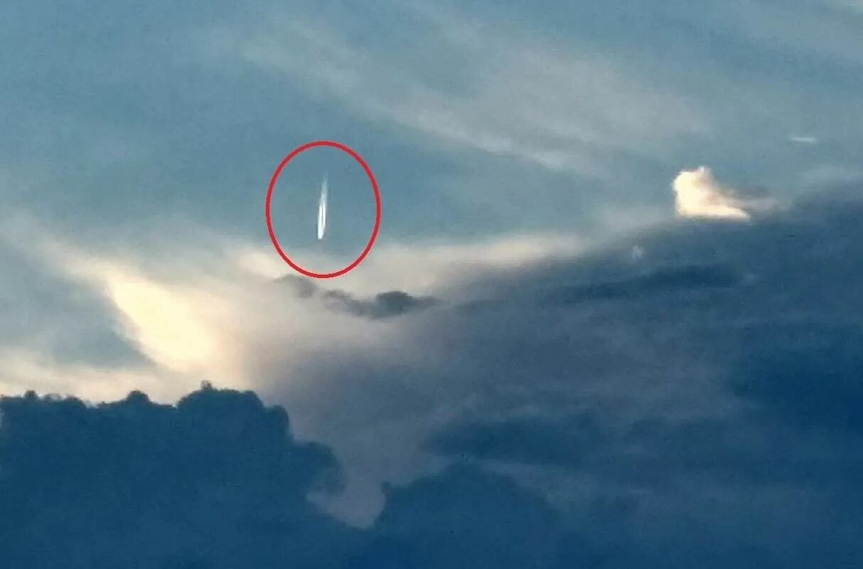 Сиреноголовый существует. Инопланетяне существуют. Где можно увидеть было ли. Существуют ли монстры в реальной жизни. Как выглядит бог в ряльноль жизни.