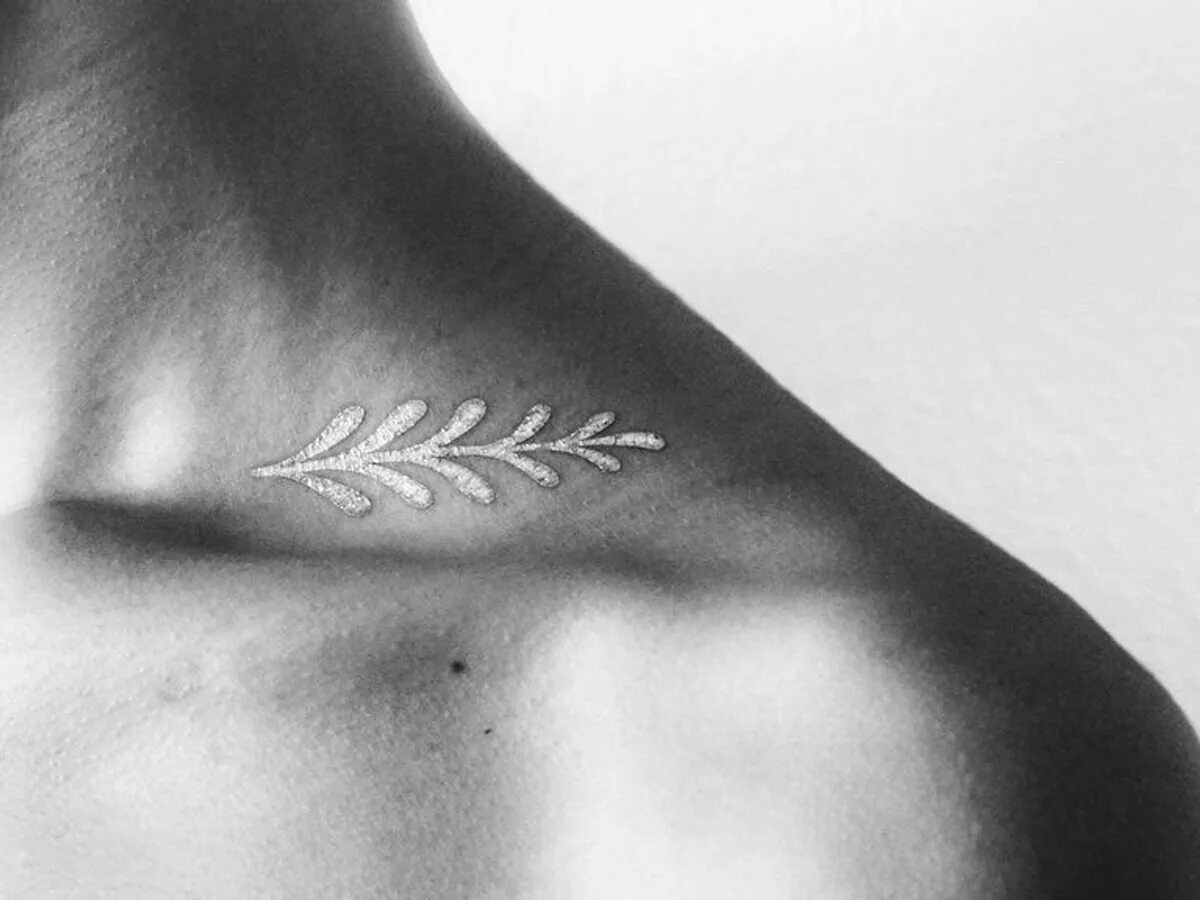 Шея девушки. Кости ключицы анатомия. Скелет человека ключица. Плечевой пояс лопатка ключица. Изящные ключицы.