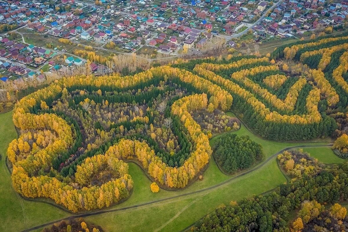 Дендропарк Синягина Новосибирск. Лесопарк Синягина Краснообск. Дендропарк Академика Синягина лесопарк. Лесопарк Академика Синягина Новосибирск.