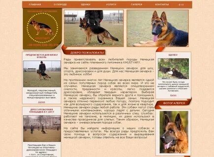 Как научит немецкую овчарку