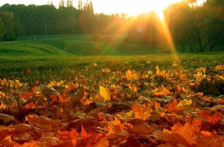Наступает конец сентября. Осень сентябрь. Конец лета и начало осени. С наступлением осени. Тёплая осень.