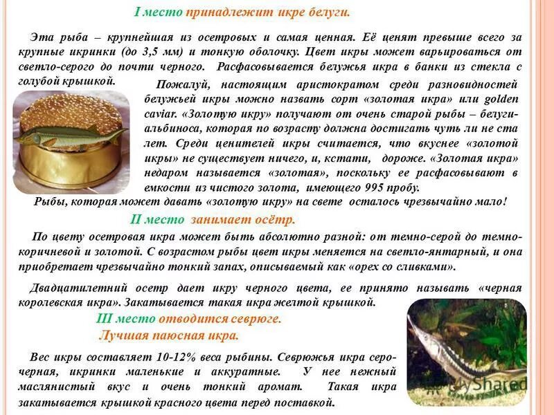 Томаты стерлядь описание. Томат рейсетомейт семена. Стерлядь семена алтая. Томат пируэт отзывы. Томаты стерлядь описание.