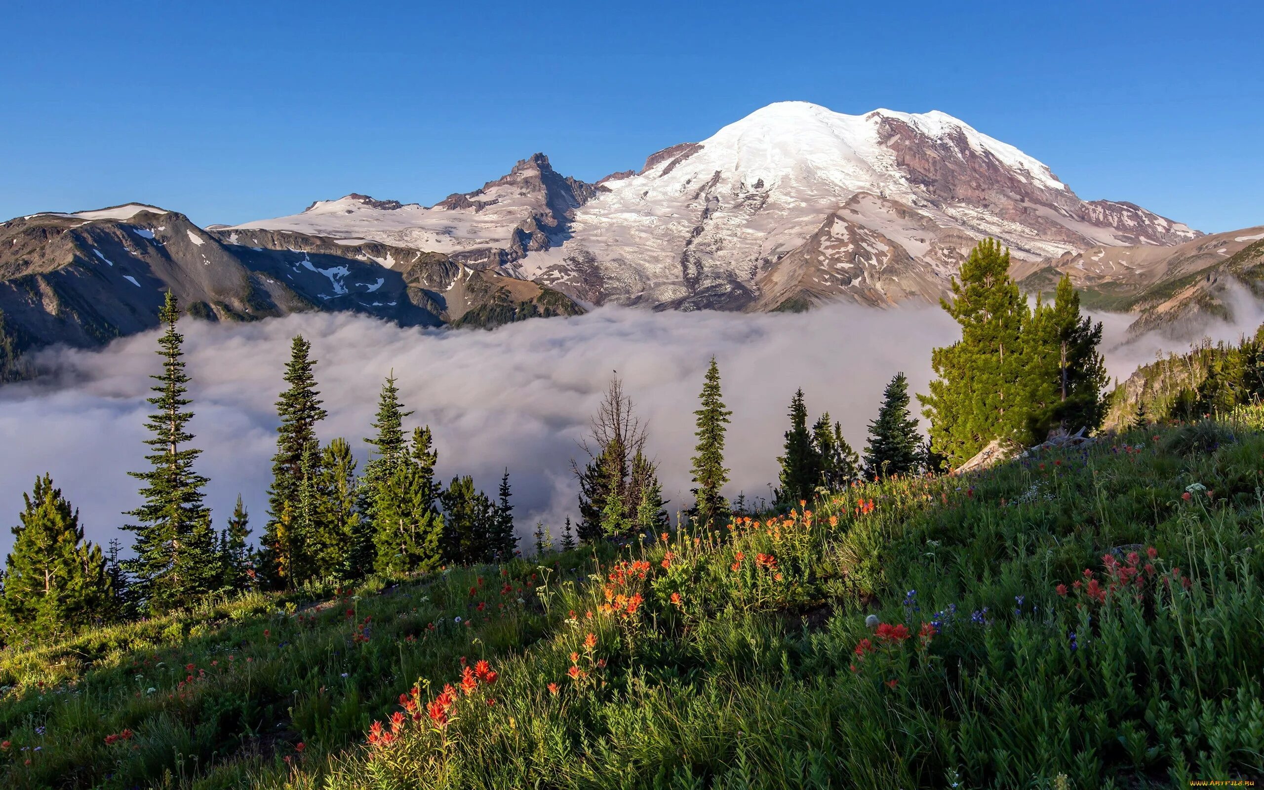 National park usa. Национальный парк Маунт-Рейнир. Национальный парк Маунт Рейнир Вашингтон. США штат Вашингтон нац парк Маунт-Рейнир. Гора Рейнир штат Вашингтон.