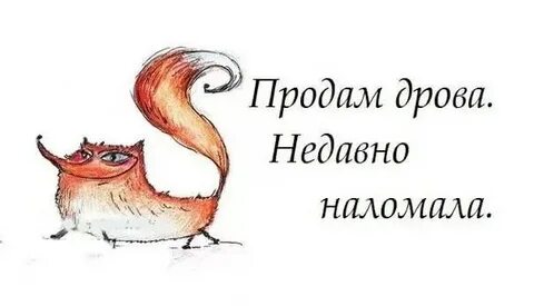 Продам дрова недавно наломала