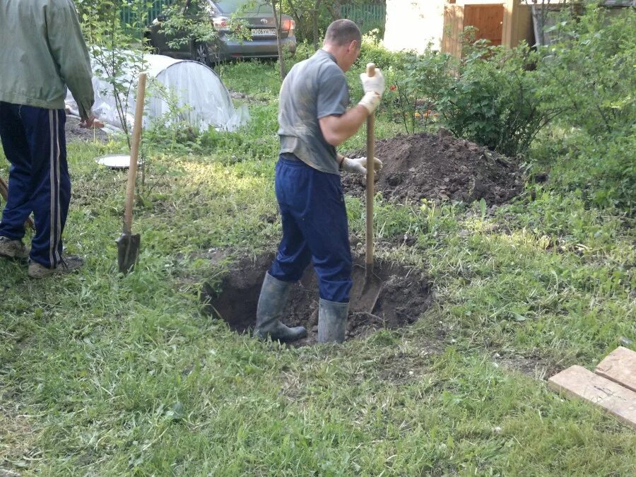 Дети копают огород. Копка огорода. Копать грядки. Сын вскопал на огороде. Огород для детей.