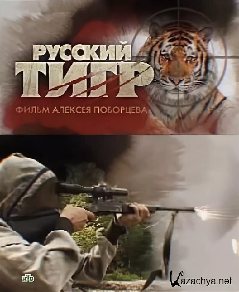 Russian tigers. Уссурийский тигр. Russian tigers. Russian tigers. Флаг с тигром.