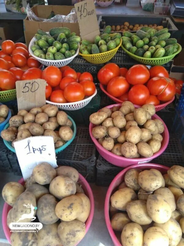 Цена овощей за кг. Домодедовский рынок отдел овощи. Великовечное Краснодарский край оптовый рынок. Рынок воощей и фруктов в зуньчуне возле оленьей горы.