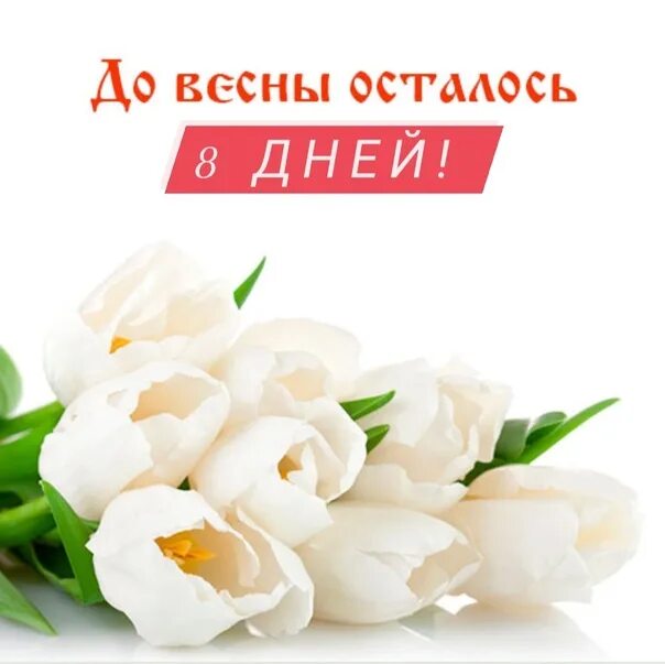 До весны осталось 9 дней. До весны 11 дней. Так хочется, чтоб было вам. До весны осталось три дня. До весны осталось.