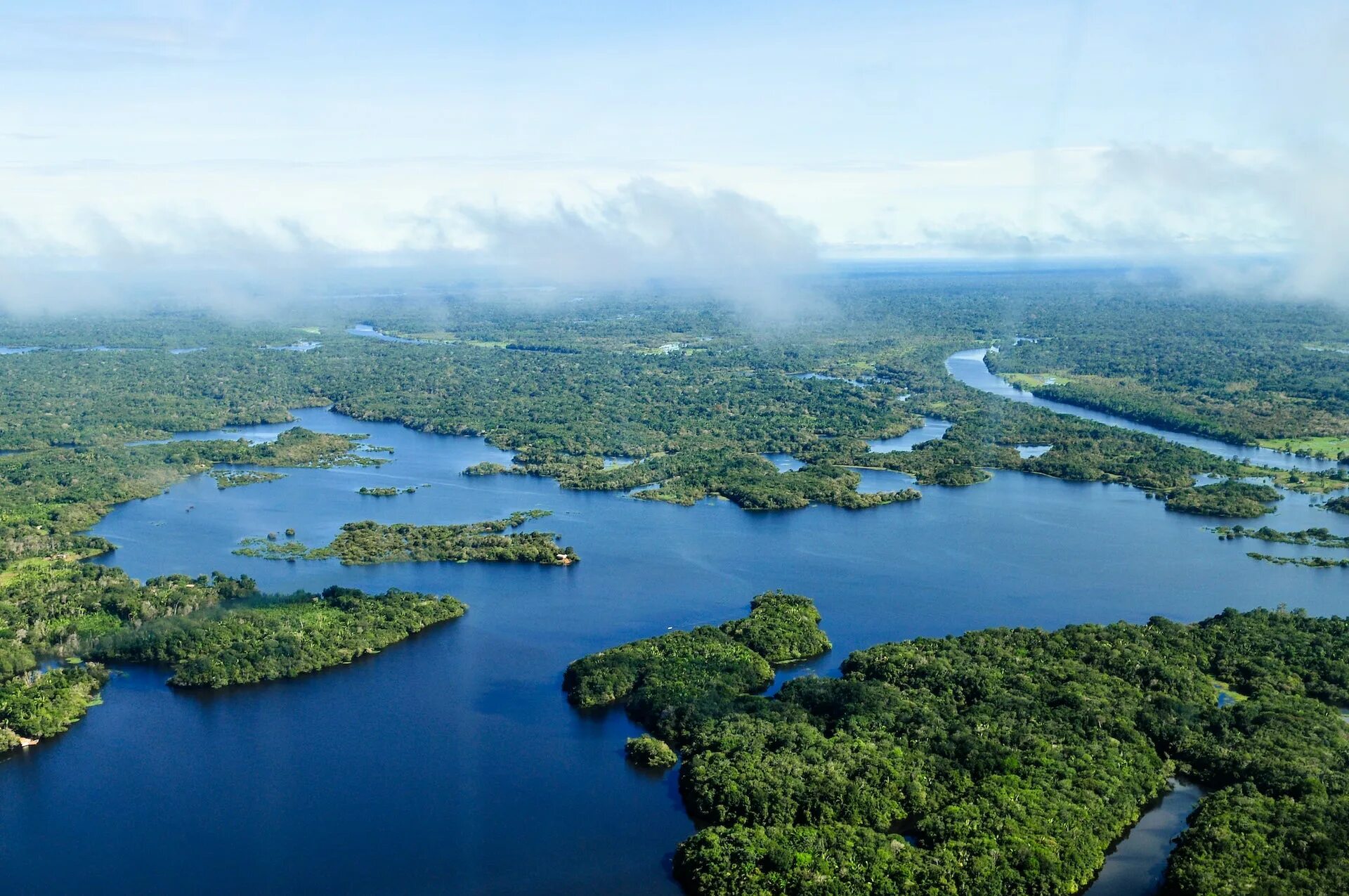 Река Амазонка в Бразилии. Бразилия крупные реки Амазонка. Река Амазонка в Колумбии. Амазонская Сельва Бразилии. Amazon borneo congo