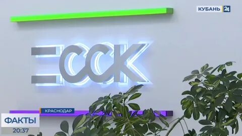 Факты кубань