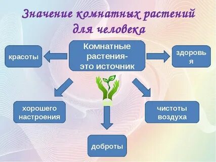 Значение живых цветов
