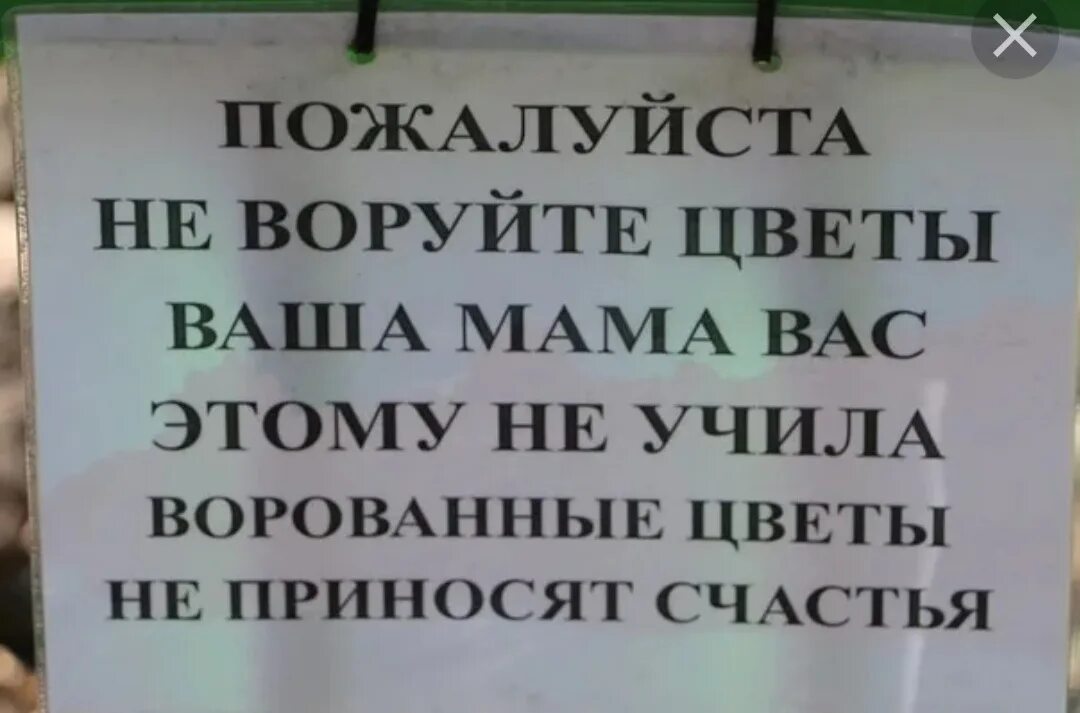 Воруют цветы в подъезде объявление. Табличка не воровать. Таблички о воровстве. Объявления о воровстве.