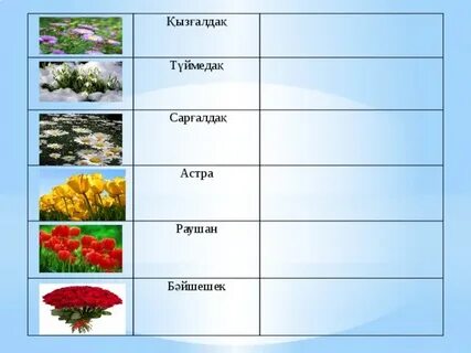 Анита Джой порно