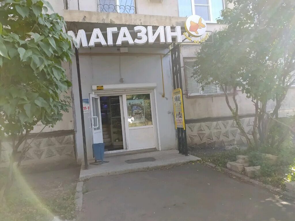Золотая рыбка магнитогорск. Зоомагазин магнитогорск. Магазин золотая рыбка в магнитогорске на завенягина. Зоомагазины в магнитогорске с рыбками. Улица завенягина магнитогорск.
