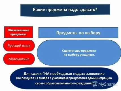 Что надо на журналиста после 11