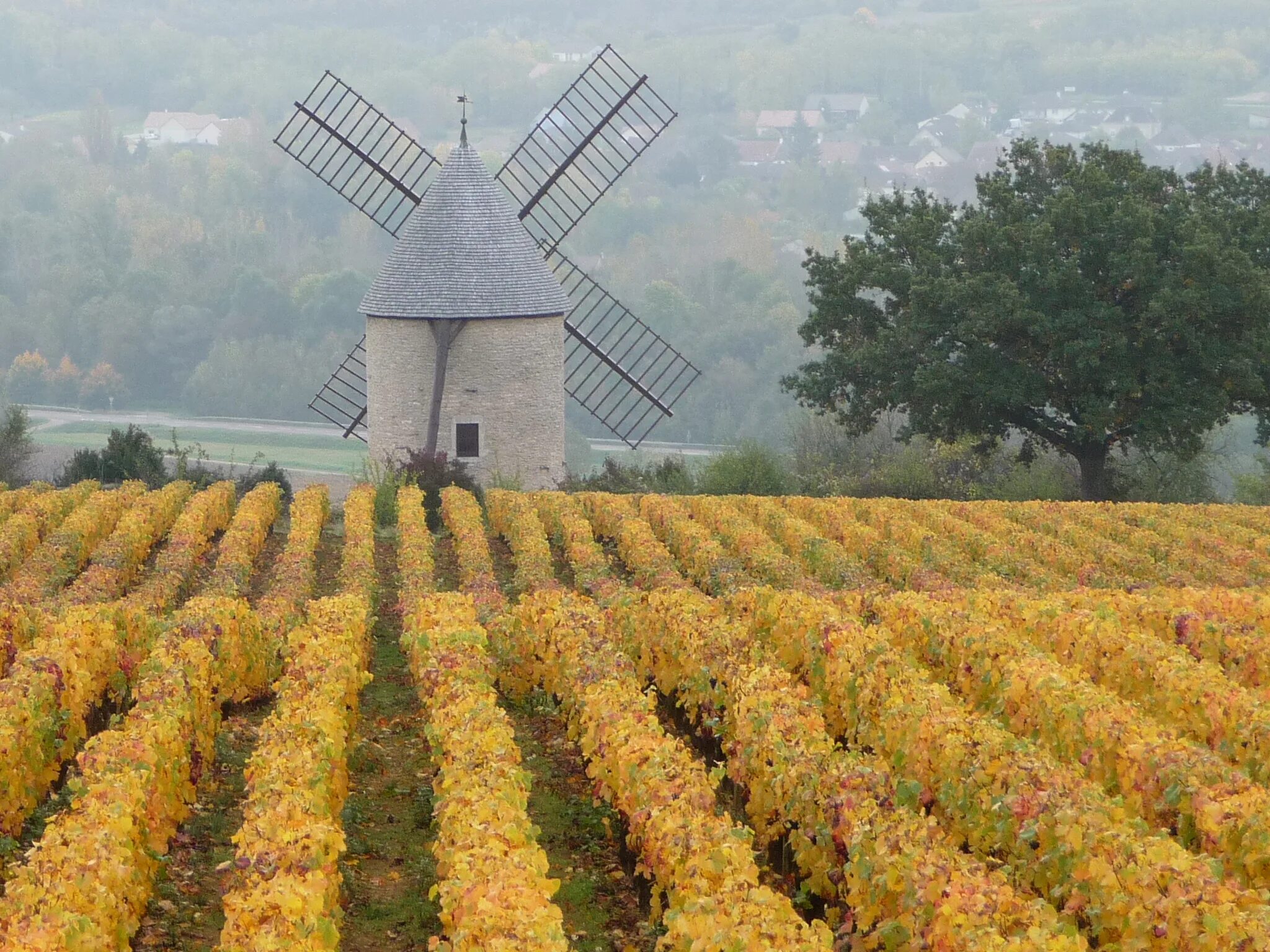 Нормандия шампань. Виноградники la Mancha. Бургундия Нормандия шампань или Прованс. Первые виноградники Шампани. Бургундия Нормандия шампань или Прованс Мем.