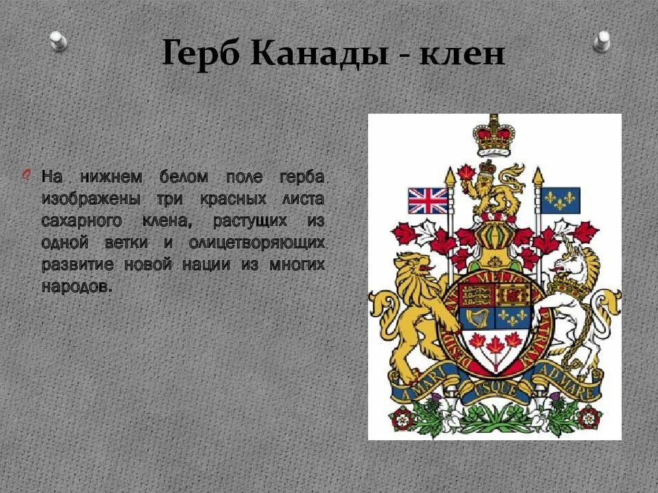 Символы цветов разных стран
