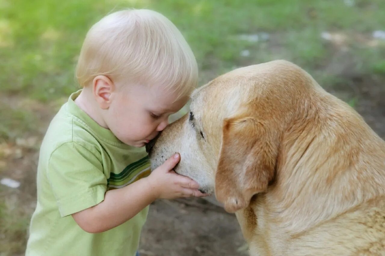 Дам собаку добрые. Собака для детей. Для детей. Животные. Добрые дети и животные. Дети с животными.