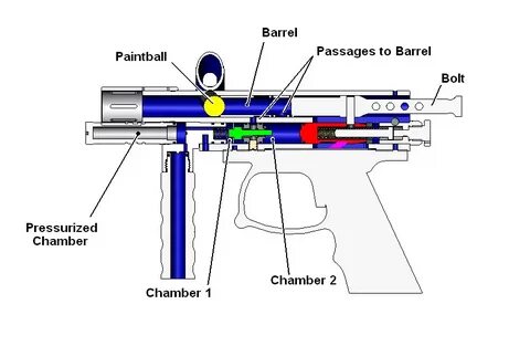 Does gun